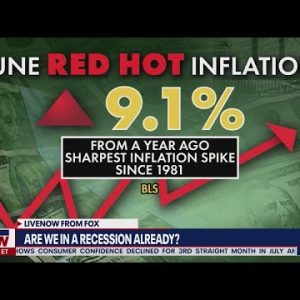 Are we in a recession? Economic expert says yes | LiveNOW from FOX