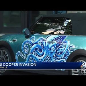 Mini Cooper invasion: Tiny cars make big impact as 8-day road rally ends in Greenville, Spartanburg