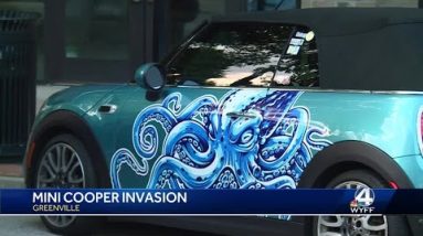Mini Cooper invasion: Tiny cars make big impact as 8-day road rally ends in Greenville, Spartanburg