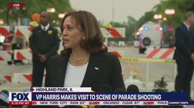 Highland Park Shooting: Vice President Kamala Harris calls shooting 'absolutely senseless' | LiveNOW