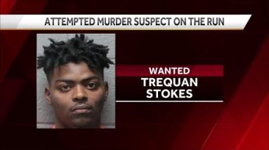 'Do not approach': SLED asking for help finding man after shooting in Denmark, South Carolina