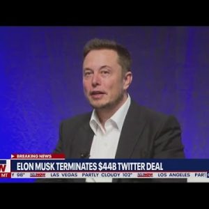 Elon Musk terminates Twitter deal | LiveNOW from FOX