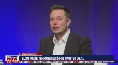 Elon Musk terminates Twitter deal | LiveNOW from FOX