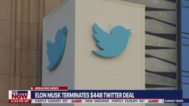 Elon Musk terminates Twitter deal, platform responds | LiveNOW from FOX