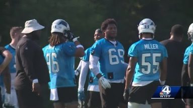 Wofford College, Spartanburg businesses gear up for Panther's training camp
