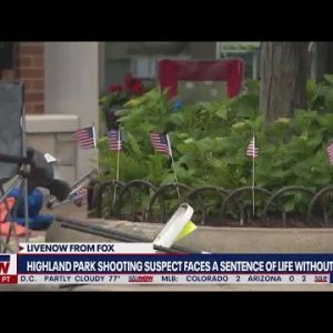Highland Park Shooting: 911 operator describes the chaos | LiveNOW from FOX