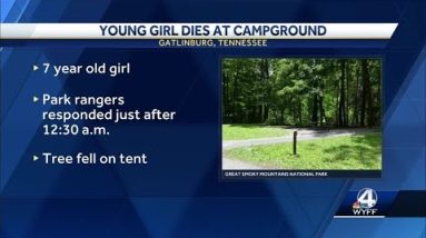 7-year-old Georgia girl dies when tree falls on tent at Elkmont Campground, rangers say