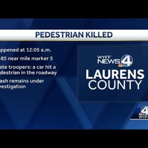 Laurens County ped hit on I-385