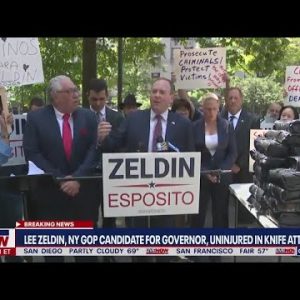 Lee Zeldin attacked with knife at campaign event | LiveNOW from FOX