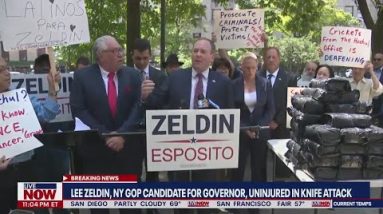 Lee Zeldin attacked with knife at campaign event | LiveNOW from FOX