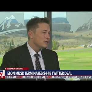 Elon Musk terminates Twitter deal: New details, next steps | LiveNOW from FOX