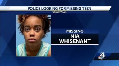 Search for teen who ran away from Greenville DSS building, police say