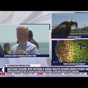 Shark attacks man on paddleboard who punches back! | LiveNOW from FOX