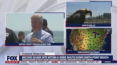 Shark attacks man on paddleboard who punches back! | LiveNOW from FOX
