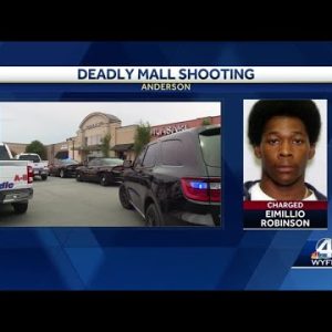 Suspect in deadly mall shooting turns himself in, police say