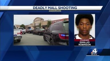 Suspect in deadly mall shooting turns himself in, police say