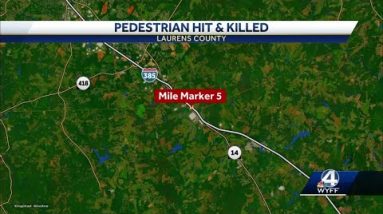 Newberry woman hit, killed after getting out of car on I-385, coroner says