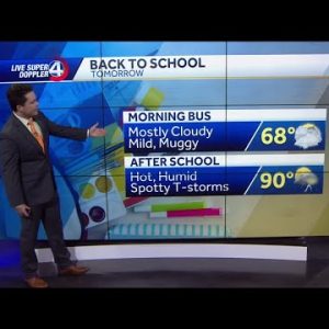 Back To School Forecast