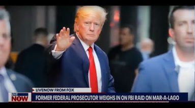 Donald Trump FBI raid: What's next for the former President as investigations continue