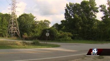 Body found near Upstate roadway, deputies say