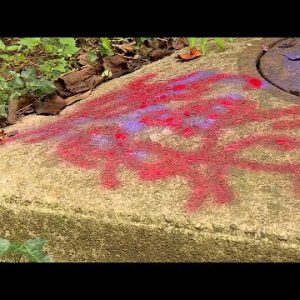 Greenville's Swamp Rabbit Trail vandalized