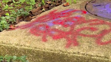 Greenville's Swamp Rabbit Trail vandalized