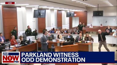 Parkland trial witness gives bizarre demonstration of Nikolas Cruz | LiveNOW from FOX