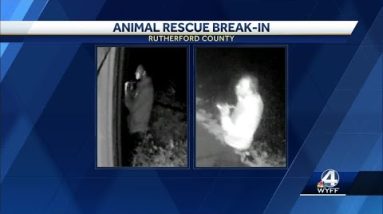 Deputies ask for help identifying man accused of breaking into Rutherfordton animal rescue