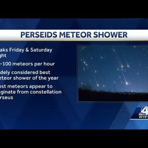 Perseids meteor shower peaks this weekend