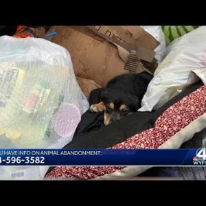 Puppy, dog bed found abandoned in dumpster in Spartanburg