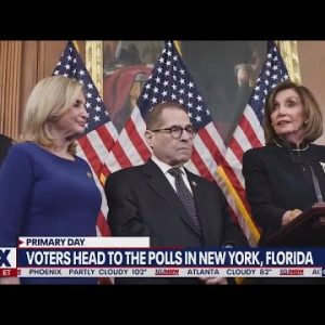 Florida & New York primary voters take to the polls, what to watch for | LiveNOW from FOX