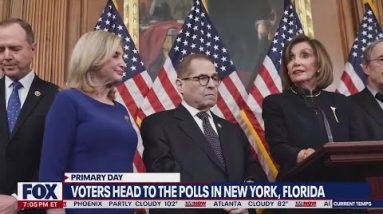Florida & New York primary voters take to the polls, what to watch for | LiveNOW from FOX