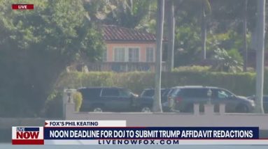 Trump FBI search warrant affidavit release: New details | LiveNOW from FOX