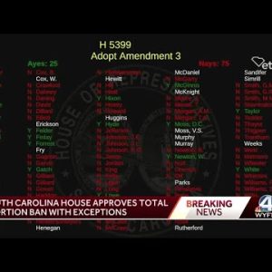 SC House approves abortion ban with exceptions
