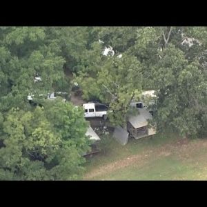 Sky 4: Dozens of dogs seized from Upstate home, deputies say