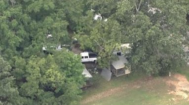 Sky 4: Dozens of dogs seized from Upstate home, deputies say