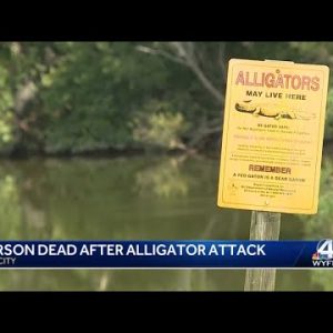 Authorities confirm 1 person killed in Beaufort County alligator attack
