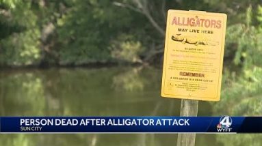 Authorities confirm 1 person killed in Beaufort County alligator attack