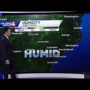 Videocast: Humid Afternoon