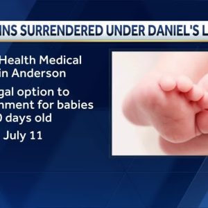 Twin infants surrendered at Anderson, South Carolina hospital under Daniel's Law
