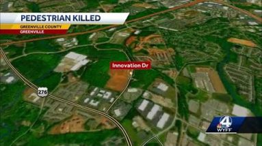 Cause of death released for woman who was hit and killed by car