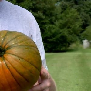 Georgia farmer concocts way to grow glow-in-the-dark pumpkin