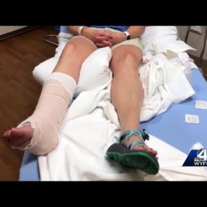 'Horrible:' Greenville woman attacked by rabid raccoon in Hilton Head warns others