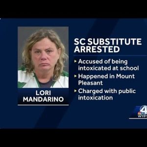 South Carolina elementary substitute arrested for public intoxication at school, police say