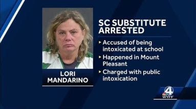 South Carolina elementary substitute arrested for public intoxication at school, police say