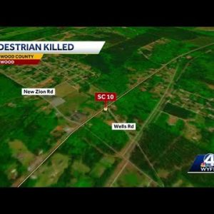 Pedestrian dies after being struck by car in Greenwood County, troopers say