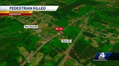 Pedestrian dies after being struck by car in Greenwood County, troopers say