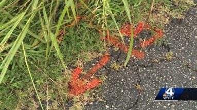 Teen killed in ATV accident