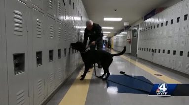 Upstate district, police department bring in K-9 to track firearms