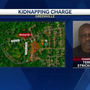 Woman found dead in Greenville home; suspect in custody, police say